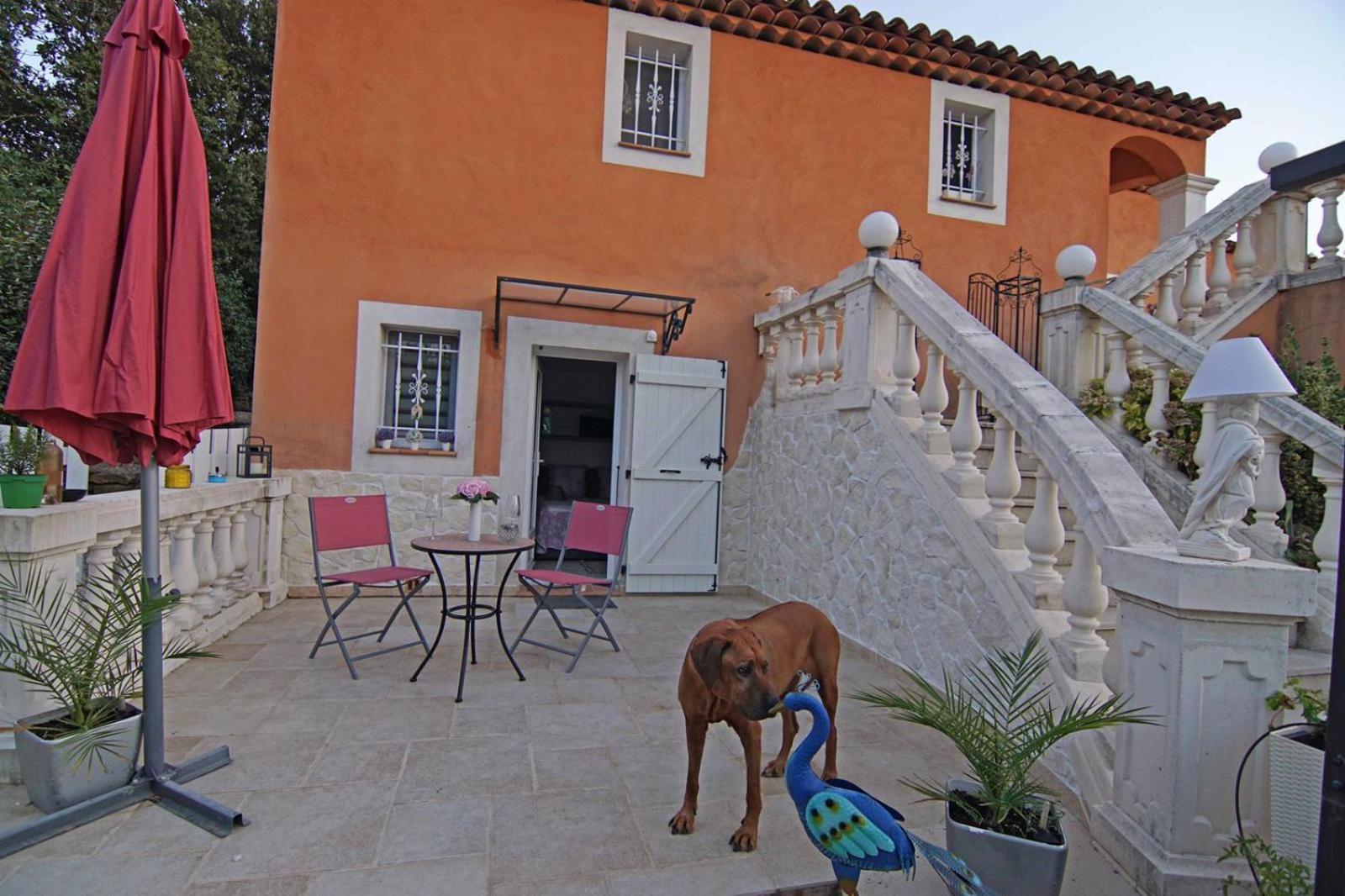 Chez Amali - Stielvolle Ferienwohnung In Der Provence Mit Terrasse Brignoles Dış mekan fotoğraf