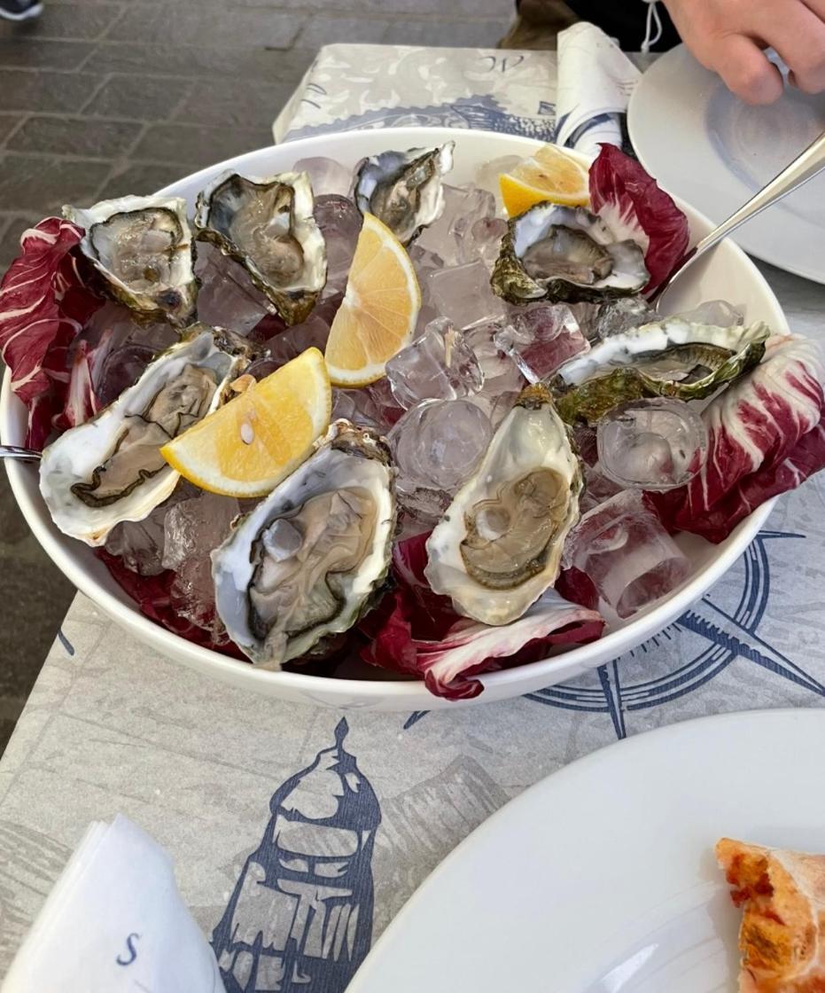 Chez Amali - Stielvolle Ferienwohnung In Der Provence Mit Terrasse Brignoles Dış mekan fotoğraf