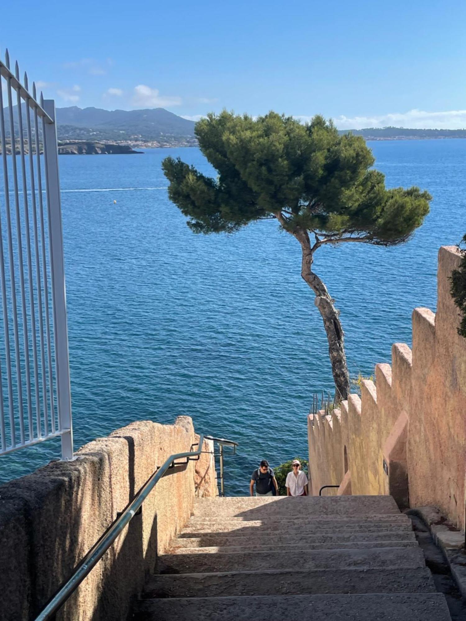 Chez Amali - Stielvolle Ferienwohnung In Der Provence Mit Terrasse Brignoles Dış mekan fotoğraf